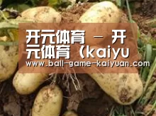 产品展示标题2