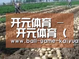 种植基地七(图1)