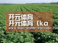 种植基地五